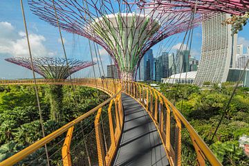 Skyway, Supertrees, Gardens by the Bay, Singapore van Markus Lange