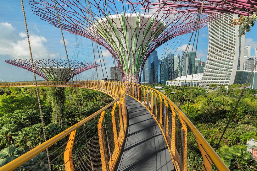 Skyway, Supertrees, Gardens by the Bay, Singapur von Markus Lange