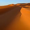 Goudgele zandduinen in de Erg Chebbi woestijn in het zuiden van Marokko van Gonnie van de Schans