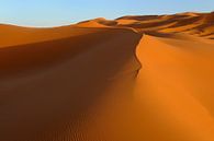 Goudgele zandduinen in de Erg Chebbi woestijn in het zuiden van Marokko van Gonnie van de Schans thumbnail