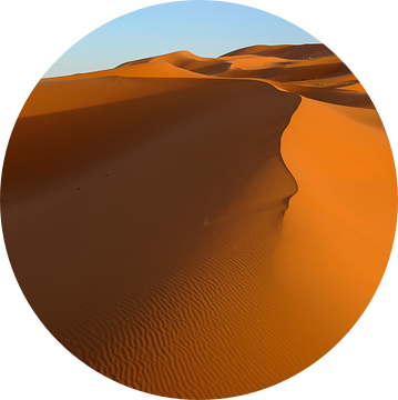 Goudgele zandduinen in de Erg Chebbi woestijn in het zuiden van Marokko van Gonnie van de Schans