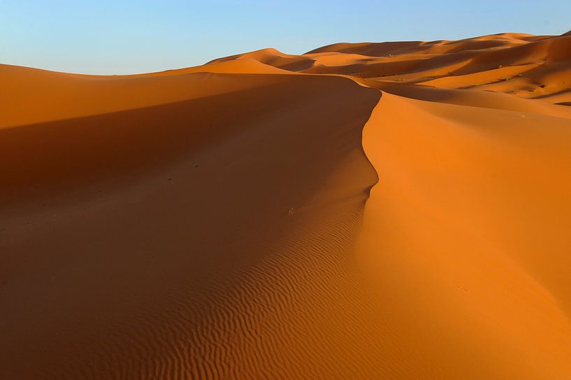 Goudgele zandduinen in de Erg Chebbi woestijn in het zuiden van Marokko van Gonnie van de Schans