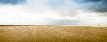 Vent et marée de sable ! sur Lieuwe de Vries