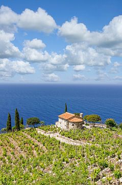 Coastal landscape on the island of Elba by Peter Eckert