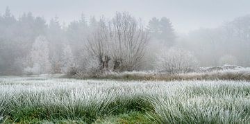 winters landschap van Peter Smeekens
