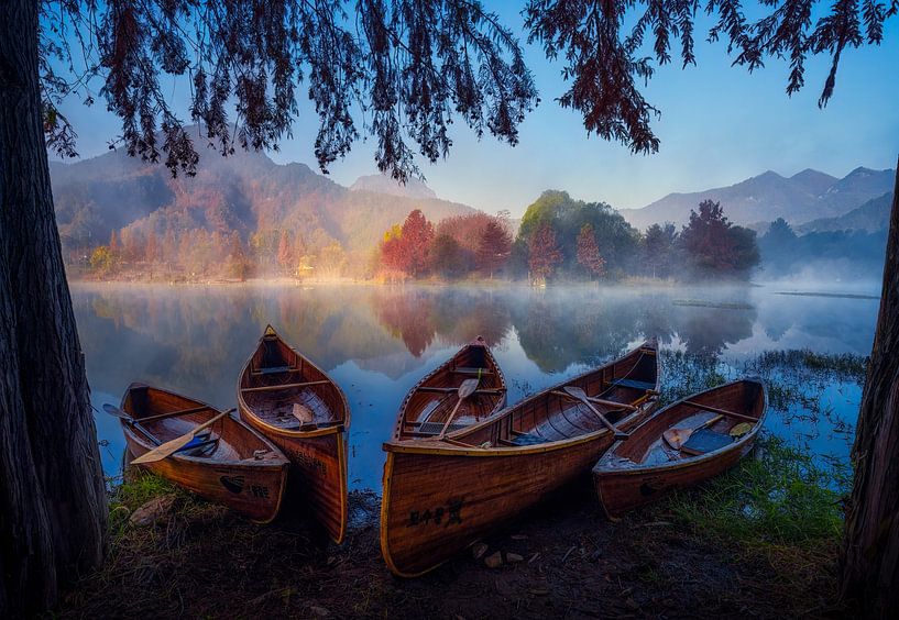 Ready to go by Tiger Seo