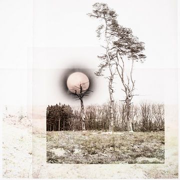 Midwinter maan (collage) van Niek van Schie