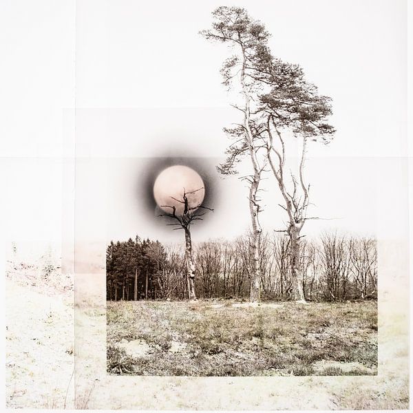 Lune de l'hiver (collage) par Niek van Schie