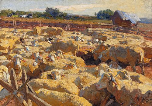 Schapen in de kooi, HEINRICH VON ZÜGEL, Um 1895-1898