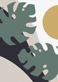 Monstera Ausschnitt 01 von Pictufy Studio II