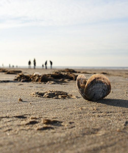 Schelp par Jeanette van Starkenburg