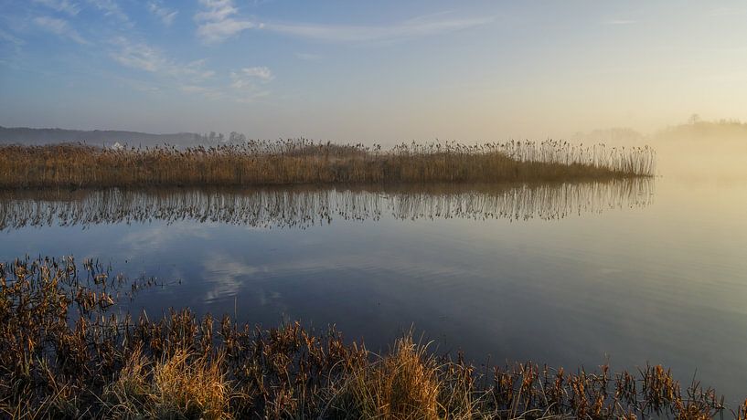 Dreamland by Dirk van Egmond