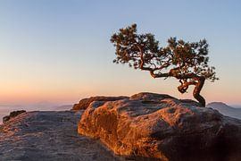 Elbe Sandstone Mountains by Heiko Lehmann