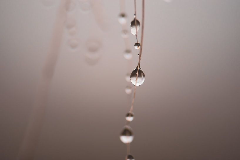 a few drops by Tania Perneel