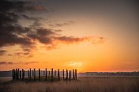 Lever du soleil sur les tertres funéraires de la Regte Heide.