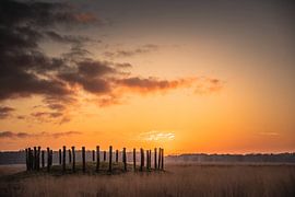 Sonnenaufgang an den Grabhügeln in der Regte Heide. von Miranda Rijnen Fotografie