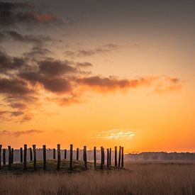Sonnenaufgang an den Grabhügeln in der Regte Heide. von Miranda Rijnen Fotografie