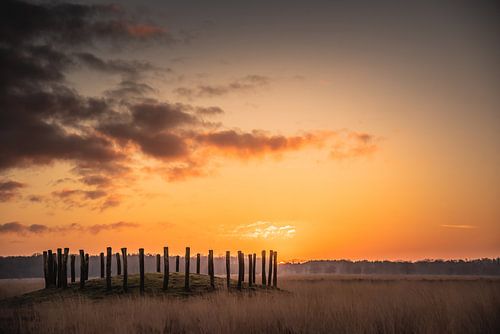 Sonnenaufgang an den Grabhügeln in der Regte Heide.