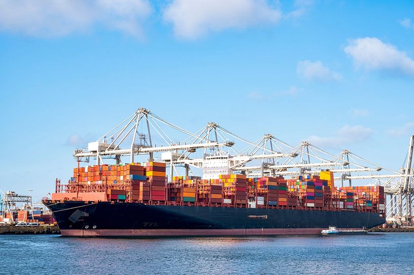 Container ship at the container terminal in the port of Rotterda by Sjoerd van der Wal Photography