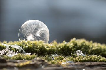 Bevroren zeepbel op mos van Milou Oomens