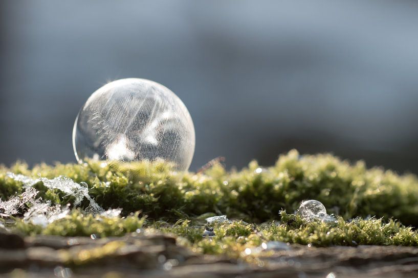 Bevroren zeepbel op mos par Milou Oomens