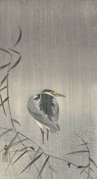 Quack in the rain of Ohara Koson by Gave Meesters