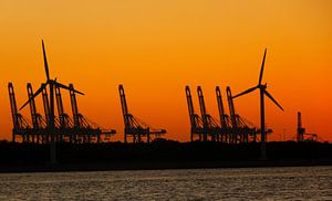 Zonsondergang Maasvlakte Rotterdam van Jessica Berendsen