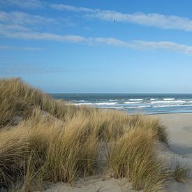 In de duinen bij het strand van Willeke Bijker