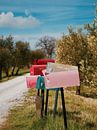 Iconisch Italiaanse oprijlaan met gekleurde vintage brievenbussen van Evy Bakker thumbnail