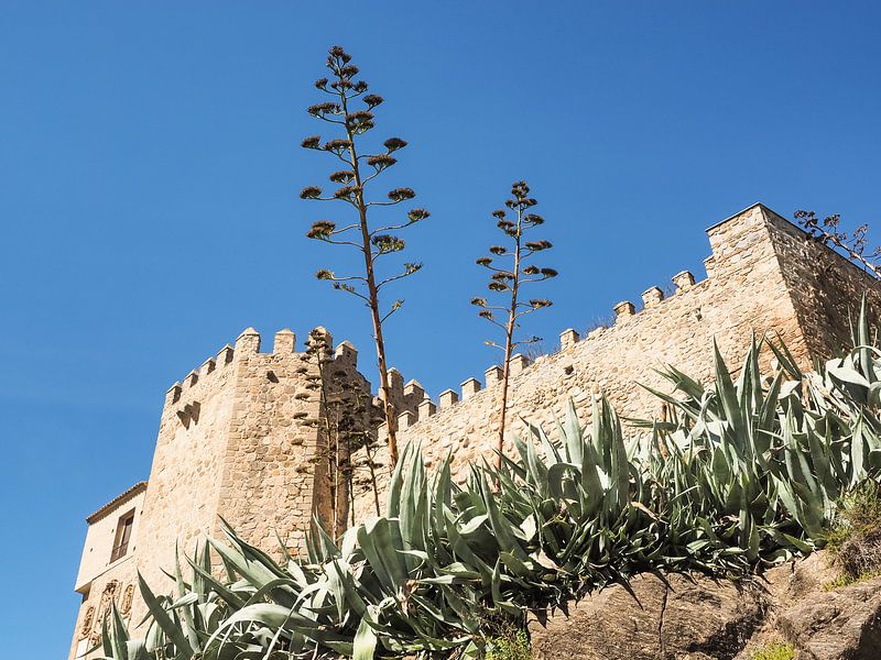 Toledo - monastery and agaves by Katrin May