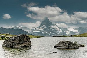 STELLISEE