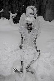 Last angel skeleton of an angel in white snow