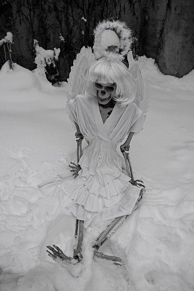 Last angel skeleton of an angel in white snow by Babetts Bildergalerie