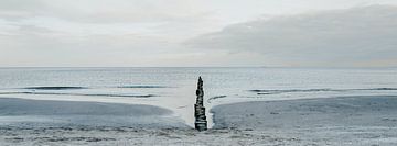Buhne am Strand von Usedom