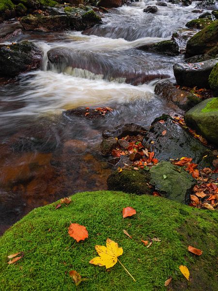 Waterfall in autumn - Ilse Falls in the Ilse Valley by Horst Husheer