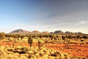 Kata Tjuta: mysteries van de rode landen