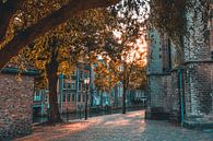 Herfstzonnetje op de Pottenkade in Dordrecht van Lizanne van Spanje thumbnail