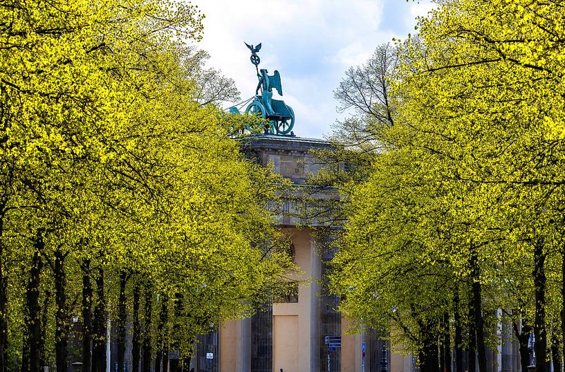 Porte de Brandebourg et quadrige dans le parc Tiergarten de Berlin par Frank Herrmann