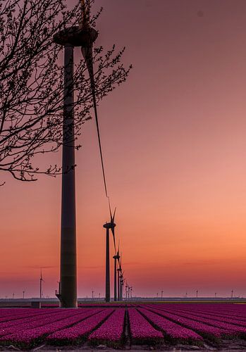 zon's ondergang over de tuple
