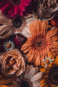 Nature morte Gerbera sur Lisa Scheffler