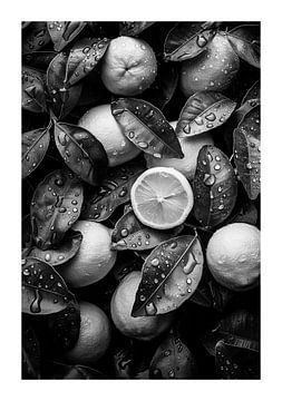 Verse citroenen en bladeren met waterdruppels, zwart en wit van Felix Brönnimann