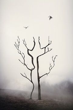 A couple of trees by Elianne van Turennout