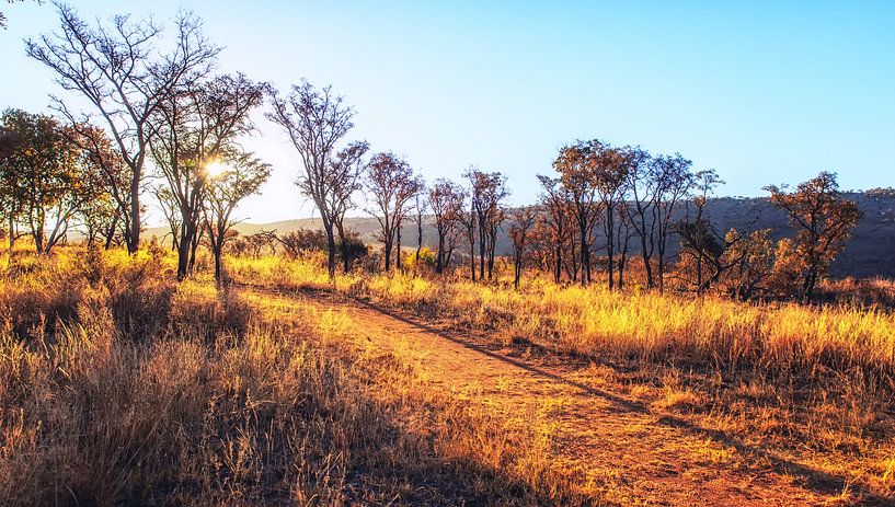 Sonnenuntergang in Südafrika von Aad Clemens