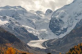 View of the Morteratsch glacier in Switzerland by Menno Schaefer