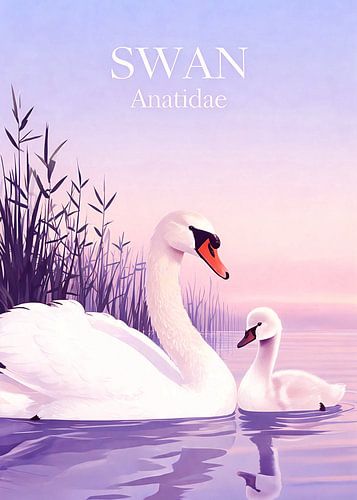 Un magnifique cygne et son cygneau sur l'eau