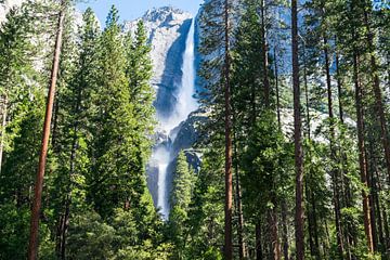 Yosemite Falls in Yosemite Nationaal Park, Californië van Linda Schouw
