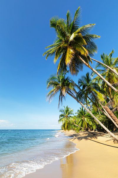 Plage de rêve dans les Caraïbes par Markus Lange