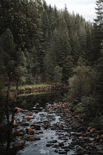 • Nordic Wilderness – Vertikales Landschaftsfoto eines skandinavischen Waldflusses