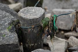 Legacies by Andreas Wemmje