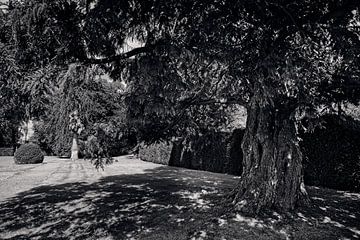 Château de Park Eijsden sur Rob Boon